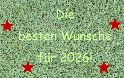 Meldung: Alles Gute für 2026!