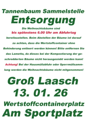 Gross Laasch - Tannenbaum - 13.01.2023 - Entsorgung