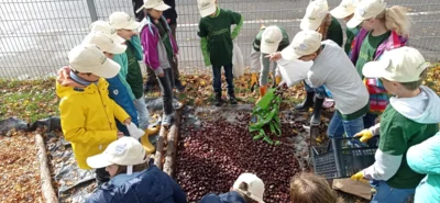 3. Minigärtner-Treffen (Bild vergr&ouml;&szlig;ern)