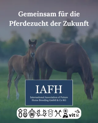 Meilenstein der Pferdezucht - Genomische Zuchtwerte jetzt verfügbar