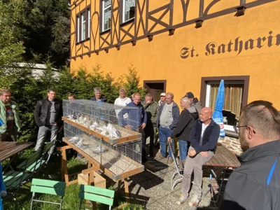 Einladung zur Frühjahrsversammlung der Gruppe Sachsen (Bild vergr&ouml;&szlig;ern)