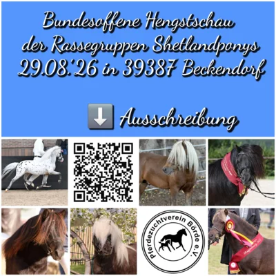 Bundesoffene Hengstschau der Rassegruppen Shetlandponys