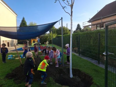 Baum-Challenge