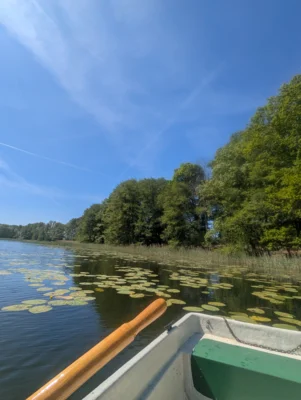 PXL_20250512_095548120 (Bild vergr&ouml;&szlig;ern)