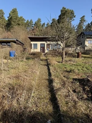 Pachtgarten im KGV Kirschgarten (Bild vergr&ouml;&szlig;ern)