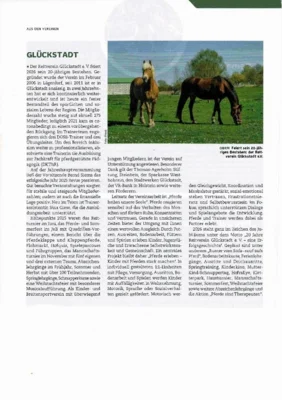 20 Jahre Reitverein Glückstadt - Pferd und Sport