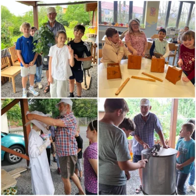 Meldung: Engagement für Bienen und Natur an der Grundschule Am Rosenhügel