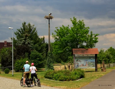 Ein Paar mit Fahrrad blickt auf das Storchennest am Schmiedeweg. (Foto: Hanke)