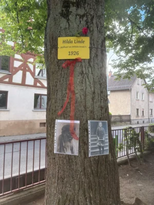100 Jahre Schullinde