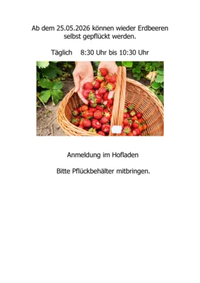 Selbstpflücke