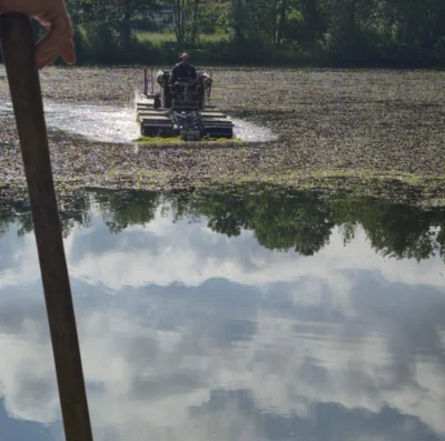 Truxor bei der Entnahme von Krausem Laichkraut Foto: AVO