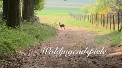 Meldung: Waldjugendspiele