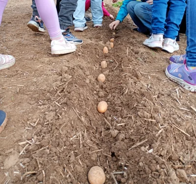 Aktion "Landfrauen machen Schule" in der 2. Klasse