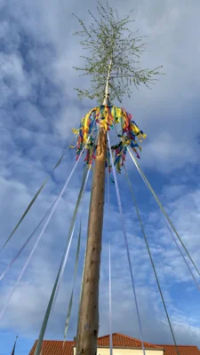 Maibaumstellen erfolgreich (Bild vergr&ouml;&szlig;ern)