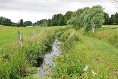 Links Bornhöved, rechts Schmalensee - an der Grenzau