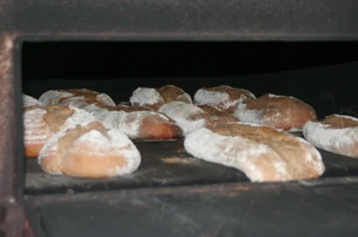 Frischgebackene Brote in einem Backofen