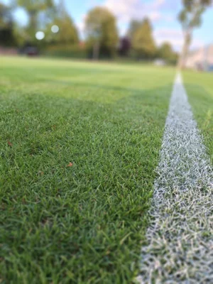Fußball: Punktspielstart am Wochenende