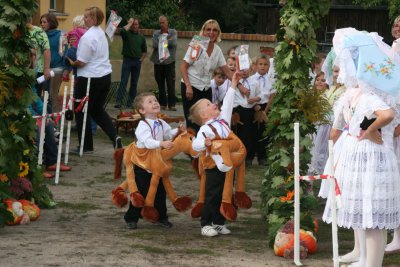 Kita-Hahnrupfen in Fehrow (Bild vergr&ouml;&szlig;ern)