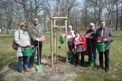 Foto zu Meldung: Fünf neue Bäume durch Aktion "(M)ein Baum für den Clara-Zetkin-Park"