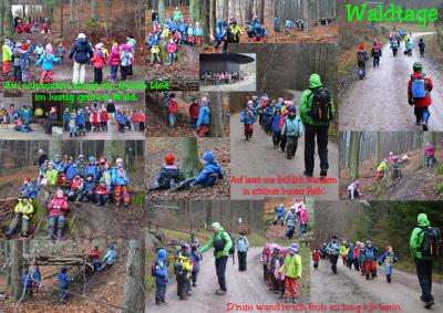 Meldung: Waldtage im Kindergarten - Vorschüler gehen auf Wanderschaft