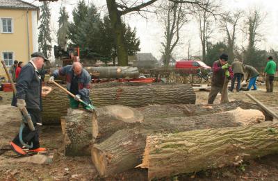 Gutspark wird Park für die Bürger (Bild vergr&ouml;&szlig;ern)