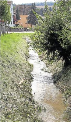 Ortsgemeinde: Hochwasserwelle rollt den Palmbach hinunter (Bild vergrößern)