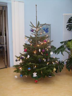 Unser Weihnachtsbaum (Bild vergrößern)