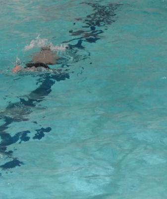 Meldung: Ergebnisse des Schwimmwettkampfes der Stufe 5 und 6 vom 19.01.2015