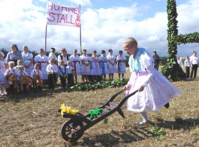 Kräftig gerupft, statt zart gezupft! (Bild vergr&ouml;&szlig;ern)