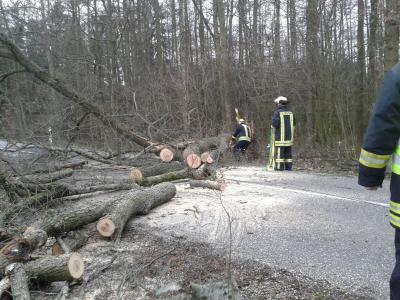 Foto zur Meldung: Baum auf Straße, OV Platzfelde - Prötzel