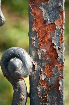 Foto zu Meldung: Aktuelle Ausstellung: "offenbaren" - eine Fotoausstellung von Maria Grinevich
