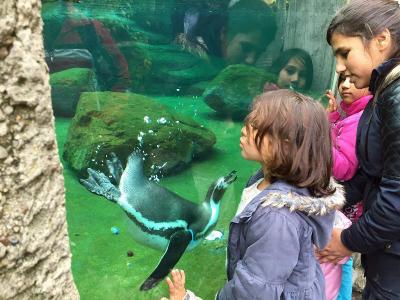 Foto zu Meldung: Besuch im Dresdner Zoo