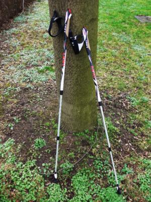 Foto zu Meldung: NORDIC-WALKING-STÖCKE gesucht