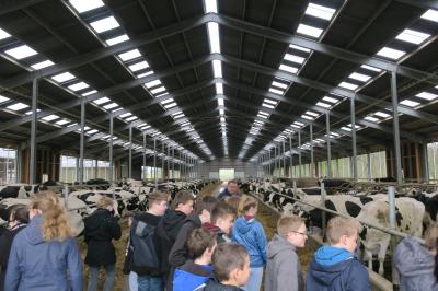 Geschäftsführer Marten Peter erklärt den Schülern der Klasse 7/3 des Goethe-Gymnasiums aus Nauen den modernen Milchviehstall