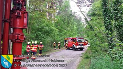 Einsatz 42/2017 | Baum droht zu stürzen | Bindow Mariannenstraße | 24.05.2017 (Bild vergrößern)