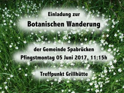 Vorschaubild zur Meldung: Einladung zur botanischen Wanderung der Gemeinde Spabrücken