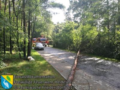 Einsatz 64/2017 | Baum auf Straße | Blossin Waldweg (Bild vergrößern)