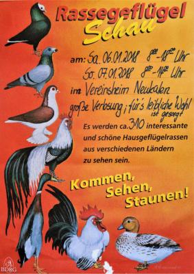 Rassegeflügelschau 2018 (Bild vergr&ouml;&szlig;ern)