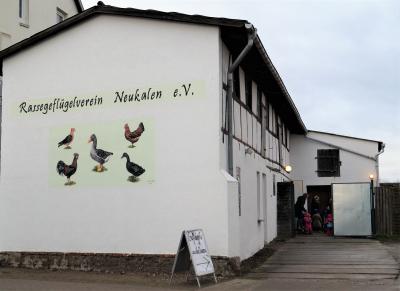 Foto zur Meldung: Rassegeflügelausstellung in der Peenestadt Neukalen