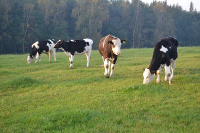 Foto zur Meldung: Neues von der Milchtankstelle und der Direktvermarktung in Dannenberg