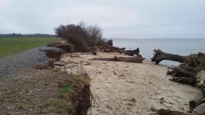 Foto zur Meldung: Schwere Schäden am Küstenradweg nach Sturmfluten Anfang Januar 2019