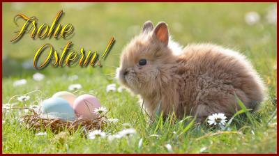 Foto zur Meldung: Fröhliche Ostern!
