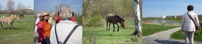 Foto zur Meldung: Natur- und Kulturraum Grüner Bogen Leipzig