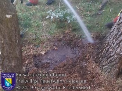 Einsatz 83/2019 | Restablöschung Lagerfeuer | Friedersdorf Wilhelmstraße (Bild vergrößern)