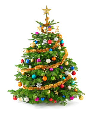 Abholung der Weihnachtsbäume am 18.01.2020