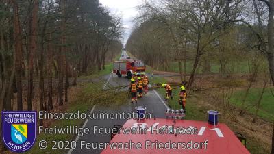 Einsatz 17/2020 | Baum auf Straße | K6153 OV Dannenreich - Kablow (Bild vergrößern)