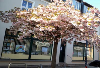 Stadtbibliothek Kyritz ab 18. Mai wieder geöffnet