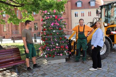Bürgermeister Nora Görke freut sich über die neuen Blumenkübel