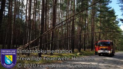 Einsatz 44/2020 | Baum in Telefonleitung | Friedersdorf Fürstenwalder Straße (Bild vergrößern)