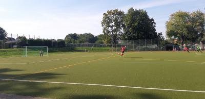 Bild der Meldung: Reserve gewinnt auf der Eiswiese mit 8:1